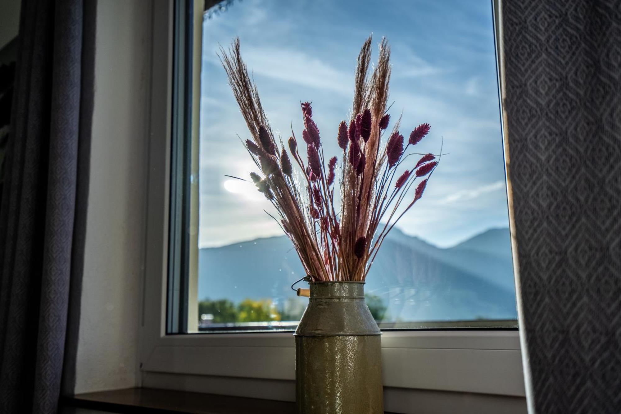 Apartment Tiroler Alpblick *